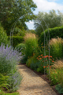 Elegance King Steel Garden Arch 5