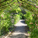 Gothic Pergola – Gloss Black Steel Garden Walkway Arch 3