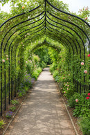 Gothic Steel Pergola – Victorian-Style Arched Garden Walkway 1