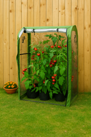 Tomato plants growing inside a compact green growhouse on grass.