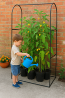 Young boy watering pepper plants in a garden grow frame.