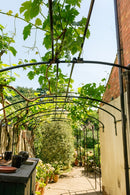 Monet Wall Pergola – Wall-Mounted Steel Garden Pergola in Gloss Black 3