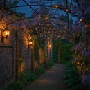 Monet Wall Pergola – Wall-Mounted Steel Garden Pergola with Elegant Arched Walkway 2