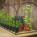 Grower frame with potted herbs and climbing plants on wooden deck.