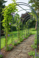 Round Steel Pergola – Matt Black Garden Canopy3