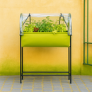 Raised growhouse planter with clear cover against yellow wall.