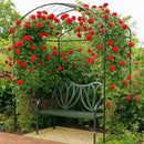 Steel garden arch with climbing roses