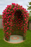 Sussex Garden Arbour – Matt Black Galvanised Steel Arbour for Bench 4