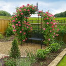 Verdure Gothic steel garden arbour with climbing roses