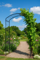 Vine Steel Garden Arch 3