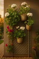 VerdeVista Elegance Screen – Square Frame, Classic Style