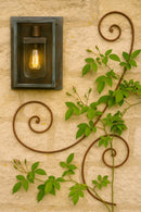 Wall-mounted scroll trellis with climbing rose and vintage light.