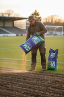 Premium 20kg Grass Seed Mixture - 80:20 Fescue and Bent for Superior Quality Lawns - Detail View