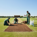 Premium High-Performance Cricket Loam for Quality Pitch Preparation - 25kg Bags Available in Bulk Quantities - Detail View