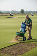 Premium High-Performance Grass Seed 20kg - Fast Germination, Dense Sward, Ideal for Golf Courses and Equine Surfaces - Det...