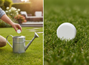 Premium Wetting Agent Tablets for Golf Greens - Effective Dry Patch Treatment and Irrigation Reduction, Pack of Six 250g T...