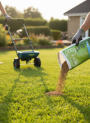 Premium Organic Lawn Fertiliser 20kg - 16-3-8 NPK with Magnesium and Iron for Enhanced Turf Health - Detail View