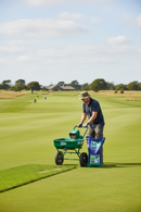 Premium 20kg Grass Seed Mixture for Fine Turf with Disease Resistance and Low Maintenance Requirements - Detail View