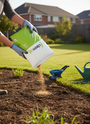 Premium Fine Lawns Grass Seed Blend for Ornamental Lawns - 10kg and 20kg Options with High Shoot Density - Main Product Image