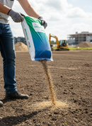 Premium High-Performance Grass Seed Mixture for Shade Tolerance and Rapid Germination - Main Product Image