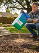 Premium High-Performance Grass Seed Mixture for Shade Tolerance and Rapid Germination - Detail View