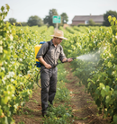 Premium 20L Knapsack Sprayer with Ergonomic Design and UV-Protected Polyethylene Construction - Detail View