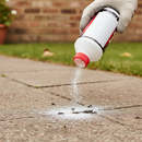 Professional Ant Killer Powder 500g - High-Performance Insect Control for Ants, Cockroaches, and More - Main Product Image