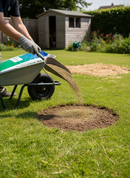 Premium Quality Lawn Grass Seed 20kg - Fine Appearance, Hard Wearing, Shade Tolerant with Excellent Disease Resistance - D...