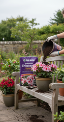 Premium Ericaceous Compost 60L for Potting and Taking Cuttings with Improved Soil Structure - Detail View