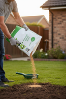 Premium Grass Seed 20kg for Quick Establishment with Fine Leaved Dense Sward and Excellent Disease Resistance - Main Produ...