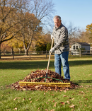 Premium Heavy Duty 48-Inch Polypropylene Grass and Leaf Rake for Efficient Debris Removal - Detail View