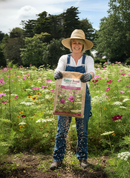 Premium Colour Boost Amenity Flowers Mixture 1kg - Vibrant Varieties for Gardens and Public Spaces - Main Product Image