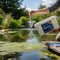 Premium Algae and Blanket Weed Treatment with Nitrate and Phosphate Reducing Bacteria for Ponds and Lakes