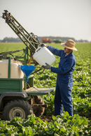 Premium 15-0-6 Liquid Lawn Fertiliser with Seaweed, Humic Acid & Trace Elements for Rapid Green Up and Turf Health - 10L -...