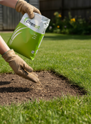 Premium Hardwearing Lawn Grass Seed Blend for Durable Turf with Perennial Ryegrass and Creeping Red Fescue - Main Product ...