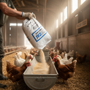 Premium Granular Limestone for Soil pH Neutralization - 25kg Bag with Fine Granulation and High Neutralizing Value - Detai...