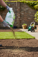 Premium Browntop Bent Grass Seed Mixture for Golf and Bowling Greens - Dense Sward with High Disease Resistance - Main Pro...