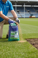 Premium 20kg Grass Seed Mixture - Fast Germination, High Wear Tolerance, and Excellent Disease Resistance - Main Product I...