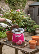 Premium Ericaceous Compost 50L - Ideal for Acid-Loving Plants with Base Fertiliser and Wetting Agent - Main Product Image