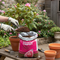 Premium Ericaceous Compost 50L - Ideal for Acid-Loving Plants with Base Fertiliser and Wetting Agent