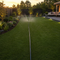 Premium Garden Irrigation Hose with Fittings - Effective Low Pressure Watering System