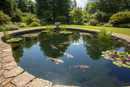 Professional Garden Pond with Premium Liner Installation