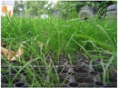 Rubber Grass Mats for Playgrounds Tested