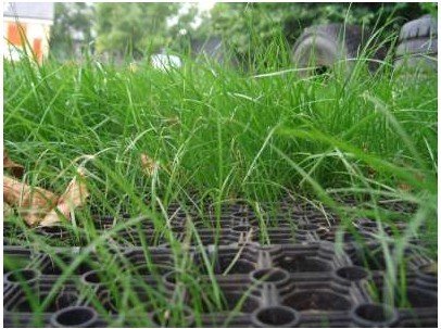 Rubber Grass Mats for Playgrounds Tested