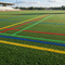 Coloured Grass Line Marking Paint Concentrate 10L | 4 Colours