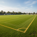 Yellow Coloured Grass Line Marking | Athletics Ground | IndtriLine