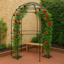 where vertical greening maximises impact